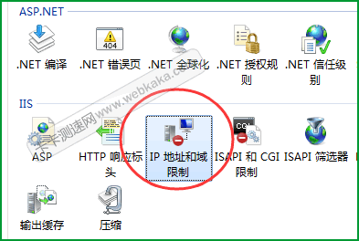 IP 地址和域限制