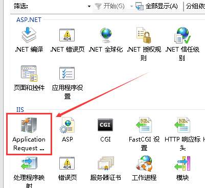 Application Request Routing（应用程序请求路由）的图标