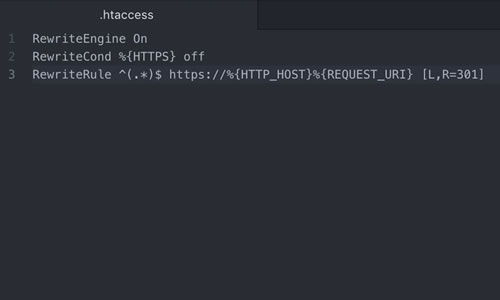强制所有流量使用HTTPS的代码